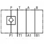 NG10 Check valve in P